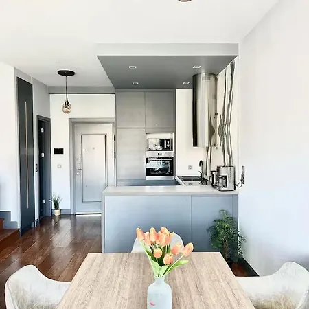 Ultra Lux 2 Bedroom Taksim アパートホテル *